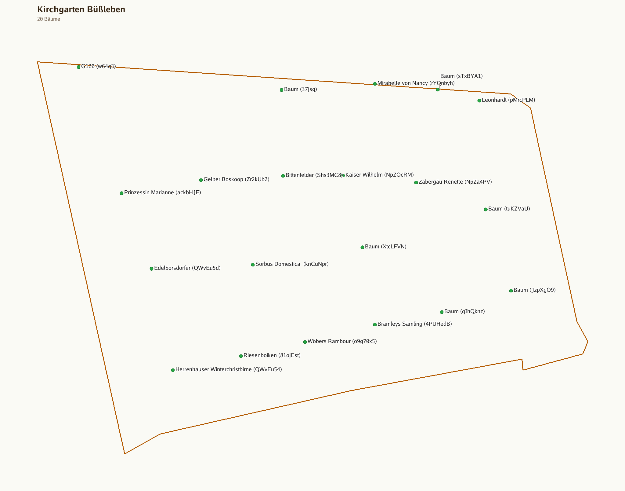 Karte des Bongerts Kirchgarten Büßleben