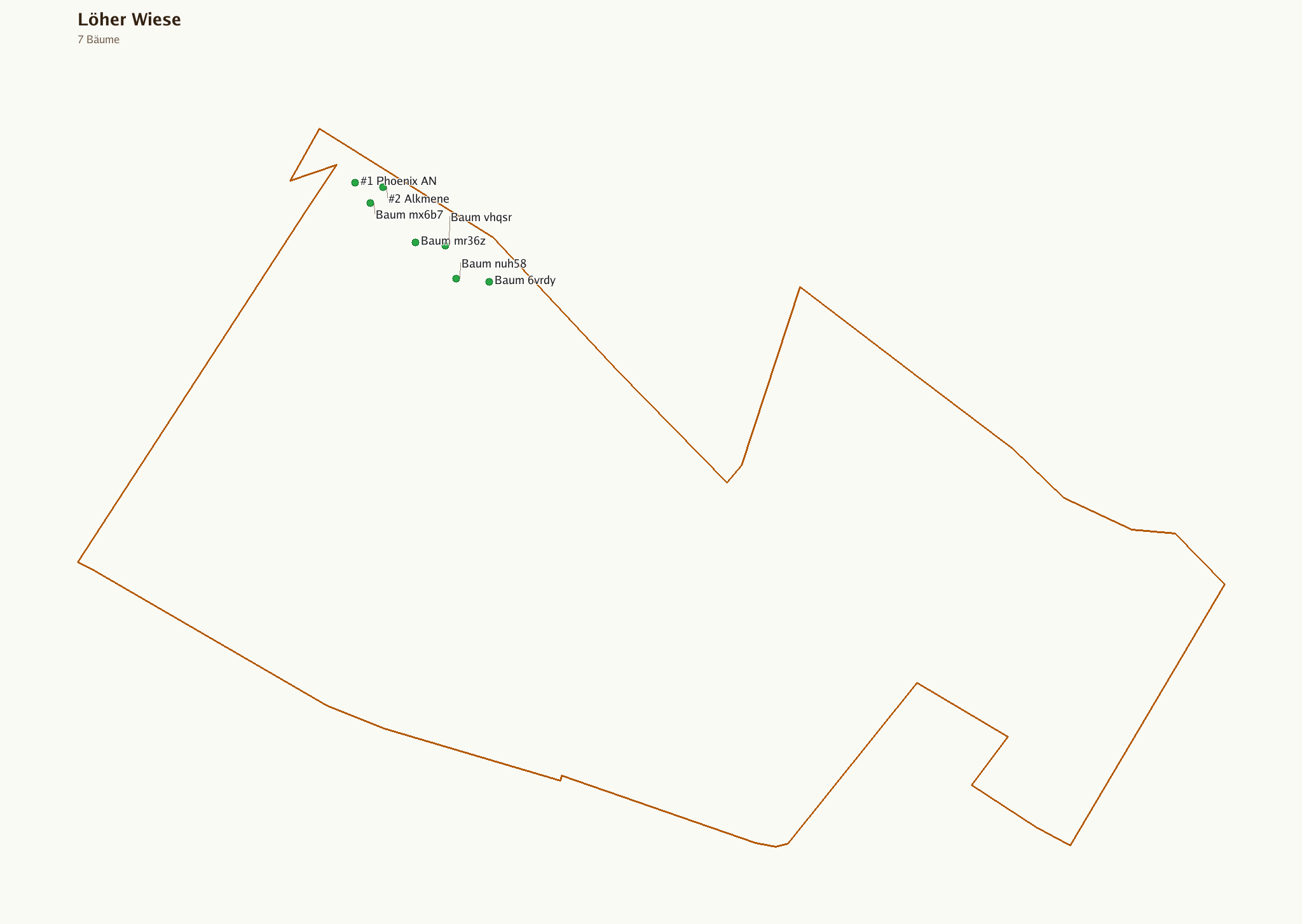 Karte des Bongerts Löher Wiese