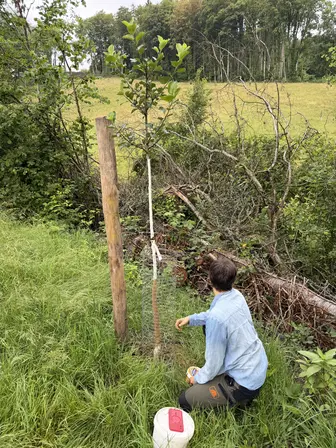 Foto treephoto-jkmy0qbhca8hn7pv3yrlg41u.jpeg