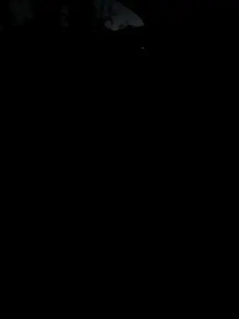 Foto treephoto-mwzmun5bct62mcnczj2ldijw.jpeg