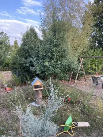 Foto treephoto-jmzwxo9vwdep60e37w6h3em6.jpeg