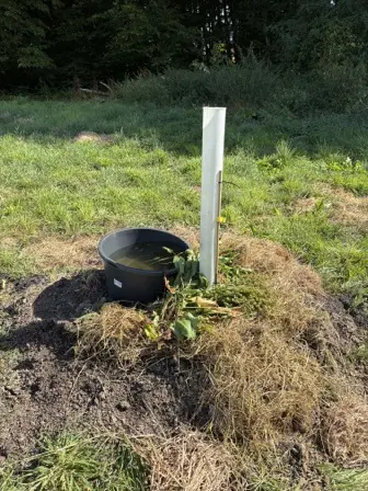 Foto treephoto-z3kav0cysdk51fn8ni30y7yc.jpeg