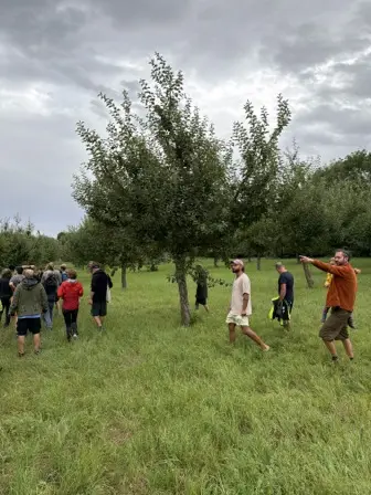 Foto treephoto-igcpr6mqueqi8vpytnbvbrv4.jpeg