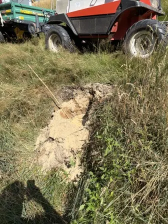 Foto treephoto-avbuud6vibccnum4of0aa4os.jpeg