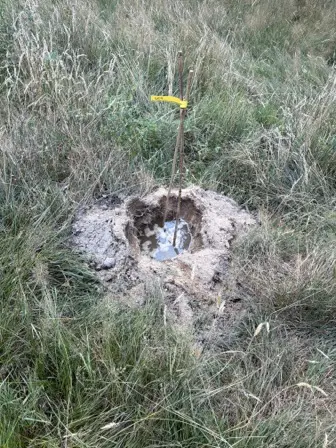Foto treephoto-q8z38aturktacbdz6i41gvd4.jpeg