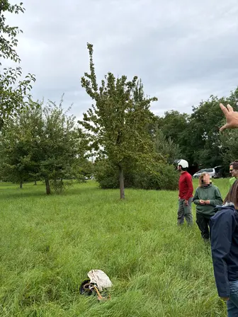 Foto treephoto-gspqhxmrrinx2xtkks6212oc.jpeg
