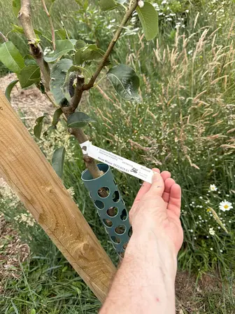 Foto treephoto-kgks3oynn3gyyotlzajwsba4.jpeg