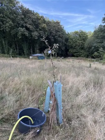 Foto treephoto-x3llldqpjoz2amzebn875urp.jpeg