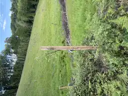 Foto treephoto-olzg5rg9o4tesfviff0jzxji.jpeg