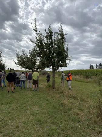 Foto treephoto-xht0kya86ep3udlzf3xxag4r.jpeg