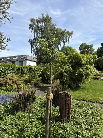 Foto treephoto-bsxf0csebdfe6a6twhnzi822.jpeg