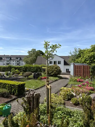 Foto treephoto-dzg5mhgsb2opccnh7bwms64c.jpeg
