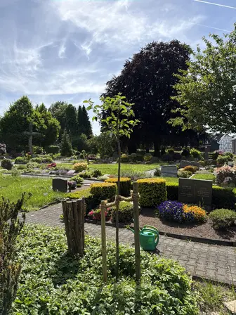 Foto treephoto-j34zg0uk6ivs88sgc7uexzrb.jpeg