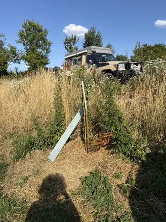 Foto treephoto-zsmxlxgix9r7ebg1a1cx6087.jpeg