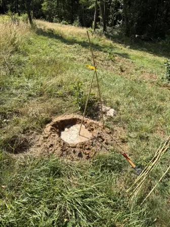 Foto treephoto-ef47xwuarwpx6bu816qpfq3d.jpeg