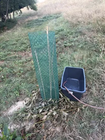 Foto treephoto-p5bjbxrqgp0cczavxz15opni.jpeg