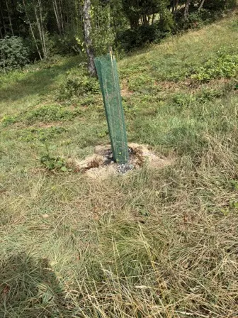 Foto treephoto-ph6v8fq0cnx122j50cik0zck.jpeg