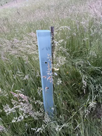 Foto treephoto-hwcgmh7ypeopcf6xmiqw9i2u.jpeg