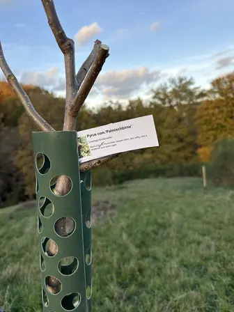 Foto obsidian-image_223-1c920cbd3db25965b6b1e5a07ba79810330b842fbba4dff9406f78d390d10545.jpg
