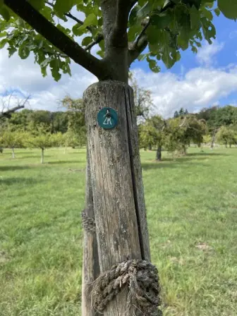Foto treephoto-cftbl2y7nfwt8dw7fesngjtn.jpeg