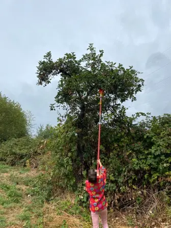 Foto treephoto-gq1z5th9olf4k1x5bivifbub.jpeg