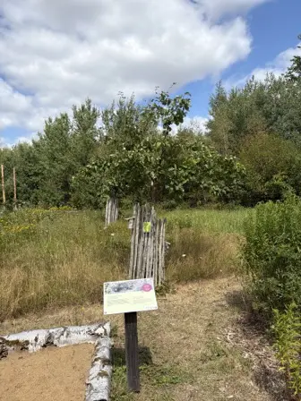 Foto treephoto-l3c8b44c40w73gzziy3jsz4r.jpeg