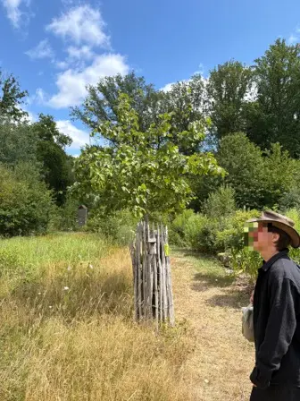Foto treephoto-ziy7nr21kjx4zmsw9otlpdke.jpeg