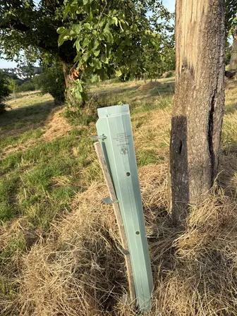 Foto treephoto-xs9a54k7z6742kh6uxglt6h5.jpeg