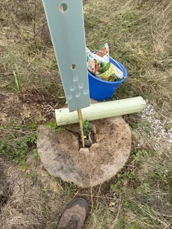 Foto treephoto-yrrq7hbzixar3nb7jm7k7crs.jpeg