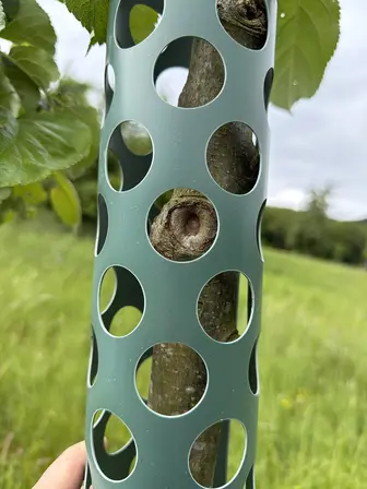 Foto treephoto-u6taq303belk7lffgjq19xvq.jpeg