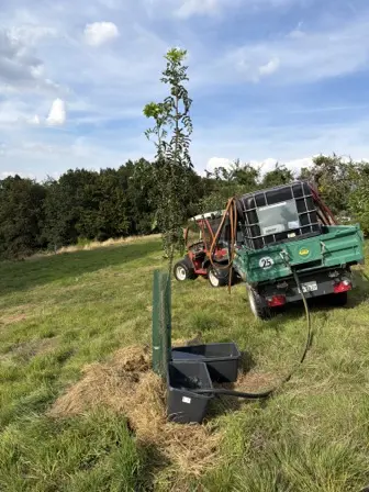 Foto treephoto-pn2tpqqbmsvpzerxxsksx4g1.jpeg