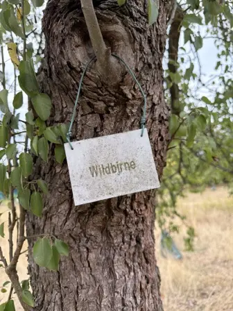 Foto treephoto-ben3kmtpx2g4e8v4suin8lbm.jpeg