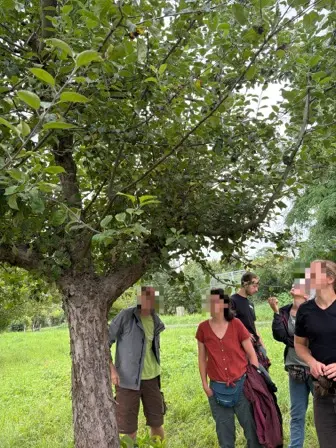 Foto treephoto-ao869e1cs4otd4kcpqnbyo93.jpeg