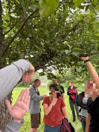 Foto treephoto-nsvly7jiwbucousqh969wrzq.jpeg
