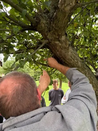 Foto treephoto-r4jkpqgorbgvnlbdeq8dg8tm.jpeg