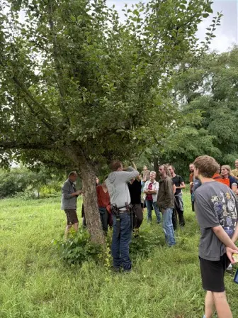 Foto treephoto-u0dq96zskl0xdy0qbupgiukc.jpeg