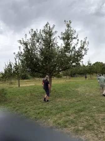 Foto treephoto-wmucs7h6tkol3cnubtd28ijg.jpeg
