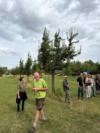 Foto treephoto-xnq9vngadkpn8wgsc0i8comi.jpeg