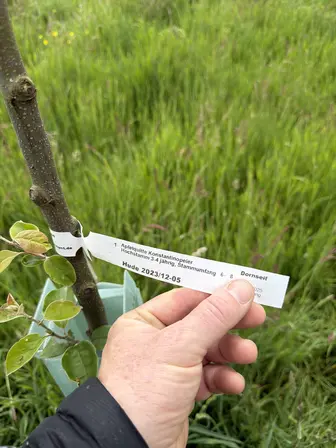 Foto treephoto-x43rtg2tyukkrnaknvfei116.jpeg