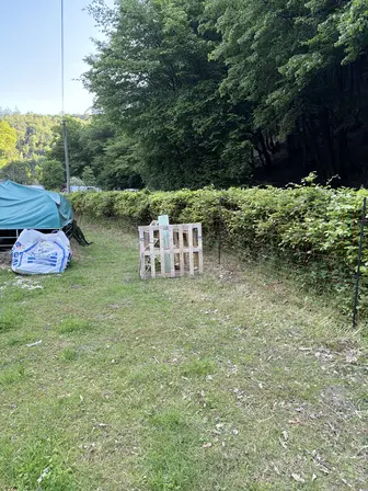 Foto treephoto-mn5bguhmampqv1qnzidpub5t.jpeg