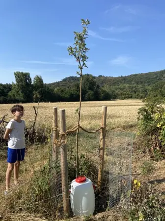 Foto treephoto-bj22ojkbx28c8lnze1ytirwu.jpeg