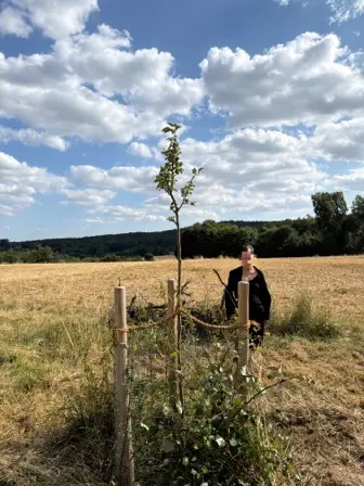 Foto treephoto-nnl1911qjta2h674jdq2ql1h.jpeg