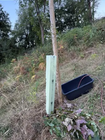 Foto treephoto-v7f9d44tc21r4aohm4eiw8m5.jpeg