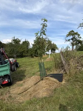 Foto treephoto-mf5gpp12m0yjg9redlx0b1ia.jpeg
