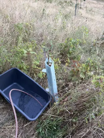 Foto treephoto-zv21ax5j9ihwy4wedrprjl8h.jpeg