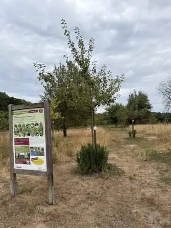 Foto treephoto-bjte90dlaqct32aqtvauiz6v.jpeg