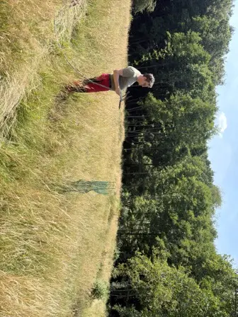 Foto treephoto-t4cig5l19quxpbqf0s4c8oof.jpeg