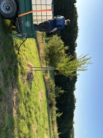 Foto treephoto-vd21ugbdyw3kzkausy9gp239.jpeg