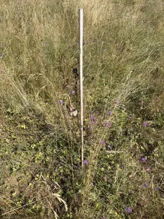 Foto treephoto-a1afoxpft7npevnsplsroem3.jpeg