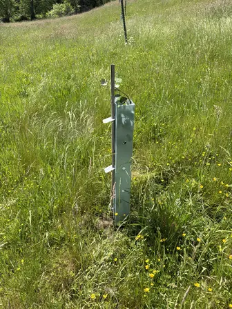 Foto treephoto-t51qm69ncovtyhtw1eroudr5.jpeg